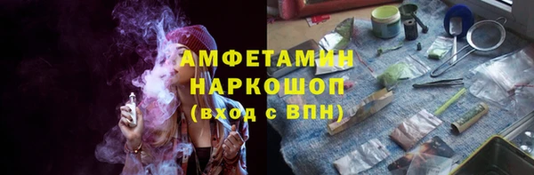 соль ск Богородицк