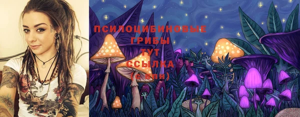 соль ск Богородицк